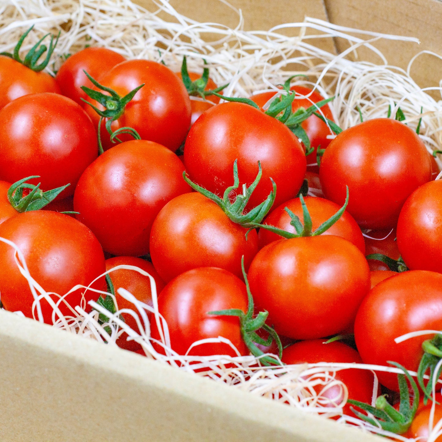 初物🍅中玉トマト(シンディスイート1㎏)