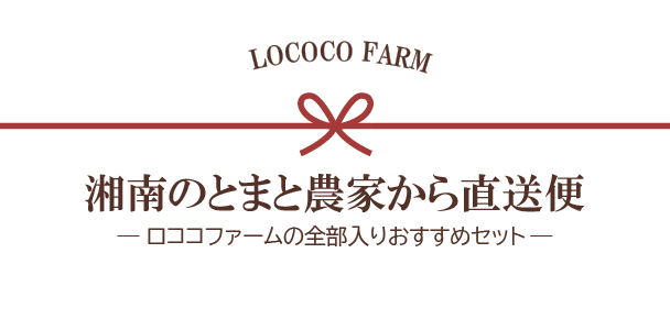 【食彩の王国放映記念】ロココファームの全部入りおすすめセット（数量限定：送料込み）【採れたてトマトセットをプレゼント】